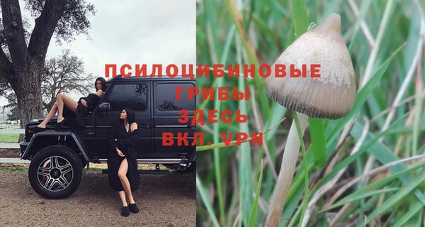 jwh Володарск